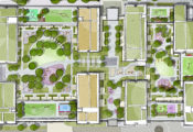 extract of landscape masterplan showing green roofs